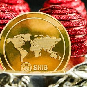 Shiba Inu Community Opposes Proposal To Allocate 37.5 ETH For Burning SHIB, See Why