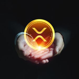 XRP’s Value Solid, Free From Speculative Bubble Pressures, Expert claims