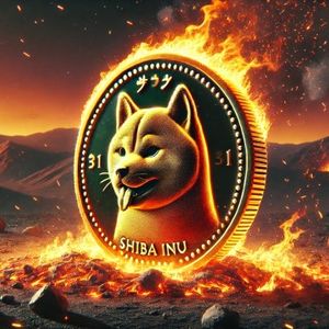 Shiba Inu Team Members Reveals The Best Way To Burn SHIB And Reduce Supply