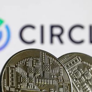 USDC Stablecoin Issuer Circle Allows Businesses To Use Apple Pay