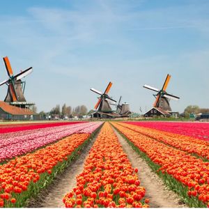 Netherlands Is The ‘World’s Most Metaverse Ready’ County – Here’s Why