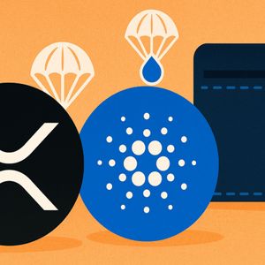 Only One XRP Wallet Supports Cardano’s Glacier Airdrop, Says Developer
