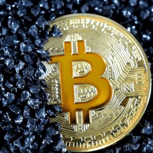 Братья Уинклвоссы инвестируют BTC в майнинговый проект, связанный с Трампом