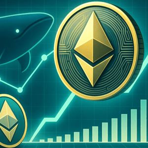 Ethereum in Crescita: Whales Accumulano ETH per 946,6 Milioni di Dollari in Una Settimana