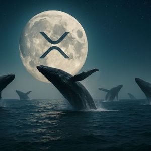 XRP Nears ATH Following $3.8B Whale Surge – Maxi Doge Presale Explodes