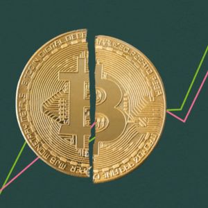 Bitcoin Potrebbe Entrare in una Nuova Fase Secondo i Dati On-Chain