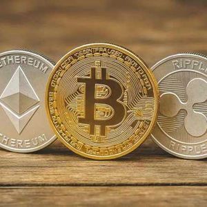 Maxi Doge ($MAXI): Cơ hội đầu tư meme coin tiềm năng năm 2025