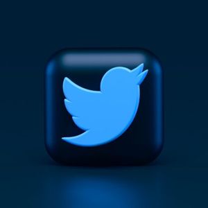 Twitter Coin Coming Soon? Leak Emerges; Sayonara Dogecoin And Bitcoin?