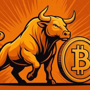 Những Altcoin Hàng Đầu Nên Cân Nhắc Mua Khi Solana Gần Chạm Đỉnh Lịch Sử