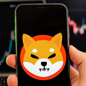 Shiba Inu Bulls Are Back: Here’s The 512 Billion SHIB Accumulation That Triggered A Spark