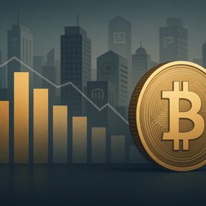 Is Bitcoin Treasury Hype Fading? Data Suggests So