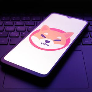Shiba Inu Holders Warned Against This Critical Scam That Could Cost Them Money