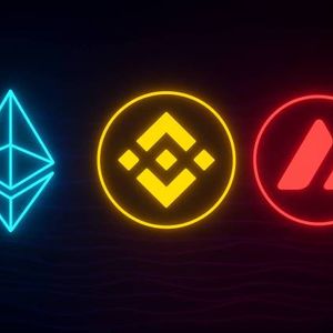 Ethereum, Binance Coin & Avalanche im Fokus:  Wie viel aus 1.000 Euro geworden wären