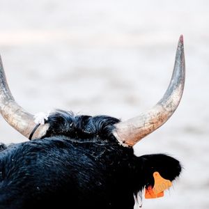 Fed Chair Choice May Be Bitcoin’s Biggest Bull Trigger, CEO Says