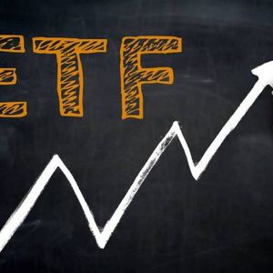 Ripple CEO’s Past Words On XRP’s Utility Resonate Today As Community Awaits ETF Decision