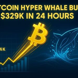 Bitcoin Prepares for Another Surge as Whales Buy $329K Bitcoin Hyper in a Day