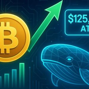Bitcoin Whale Balances Stabilize As Price Hits $125K ATH: Signs of Re-Accumulation?