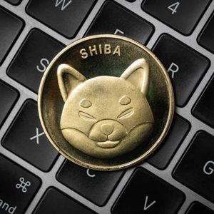 Why The Shiba Inu Consolidation Could End Rapidly With An Explosive Price Rally