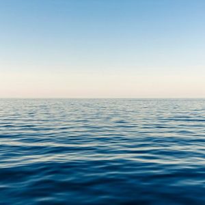 OpenSea Plans To Launch SEA Token By Q1 2026 – Details