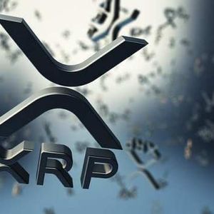 Details Of Ripple-Evernorth Deal Remain Blurry: How Much XRP Is Really Being Bought?