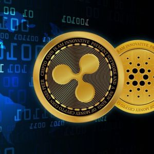XRP Ledger Just Got More Private With This Latest Upgrade From Ripple