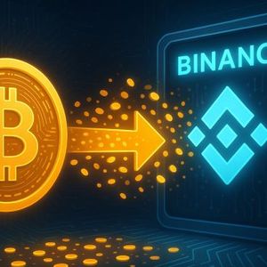 Hot Money Floods Binance: $26B In ‘Young Bitcoin’ Inflows Signal Speculative Surge