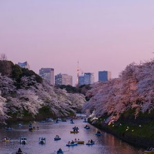 Japan Eyes Stricter Oversight On Crypto Management Companies