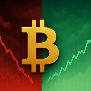 Bitcoin Bear Market: Confirmed Or False Alarm? Experts Sound Off