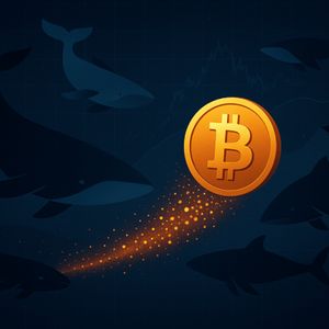 Bitcoin OG Whales Sold More BTC in 2025 Than Any Other Cycle: Analyst