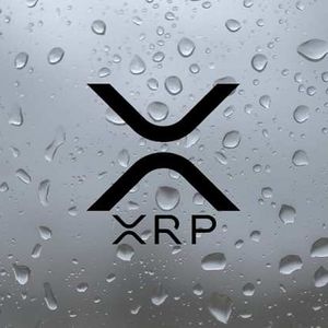XRP And Solana Spot-Quoted Futures Are Fast Approaching – What’s Their Significance?