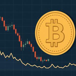 Has Bitcoin And Crypto Really Bottomed? On-Chain Firm Responds