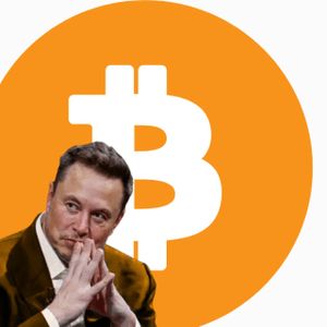 Musk: «Bitcoin Incarna quella che è la Vera Moneta di quest’epoca»