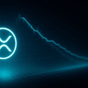 XRP Daily Fees Down 89% Since February: Network Activity Drying Up?