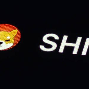Shiba Inu Engineer Leaves Community Stunned With Sharp Exit