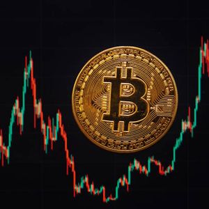 Why Bitcoin Is The Only Major Asset Underperforming Despite Strong Fundamentals