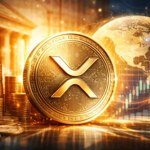 XRP ETFs Attract Global Pension Funds And Insurers, Canary CEO Reveals