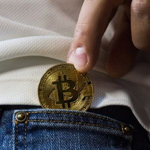 Bitcoin Long-Term Holders Stay Resilient, But Profits Haven’t Fully Arrived – Here’s What To Know