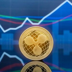 Here’s How The Largest XRP Treasury Company Has Fared In 2025