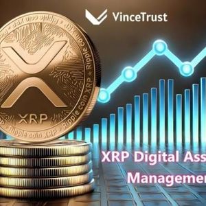 New Opportunities for XRP Asset Growth as VinceTrust Introduces Yield Solutions for Investors