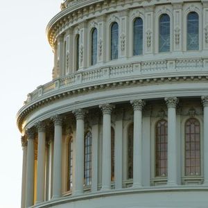 Crypto Developers Could Get Long-Term Shield Under New Senate Bill