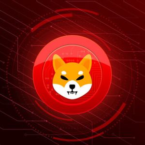 Shiba Inu Falls Out Of Favor With Ethereum Whales, Will This Affect SHIB Price?