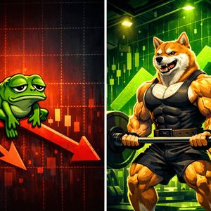 $PEPE Fatigue May Fuel Maxi Doge’s Rampant Presale