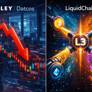B. Riley Cuts Price Targets Across Digital Asset Treasury Companies as LiquidChain Momentum Builds