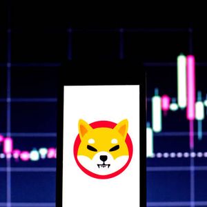 Shiba Inu Dev Reveals What The Main Focus Should Be As Price Crash Continues
