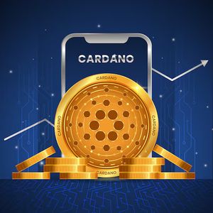 Cardano Generational Buying Opportunity Emerges Amid On-Chain Activity Spike