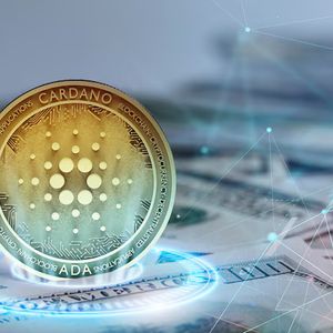 Cardano Network Sees Sharp Growth As User Activity Reaches New Heights
