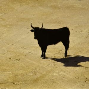 比特币流动性轮转再度向  方向转变，稳定币垫底开始放松