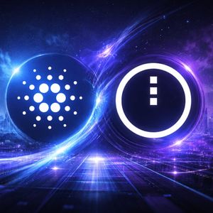 Cardano’s Midnight Has A Big 180 Days Ahead, Hoskinson Says