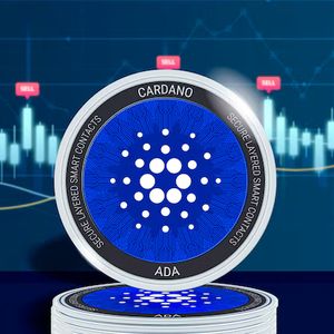 Cardano (ADA) Price Now At A Critical Level Following Strong Whale Activity
