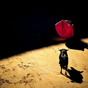 XRP SuperTrend Flips Bullish For First Time Since January – Is A Rally To $1.90 Next?